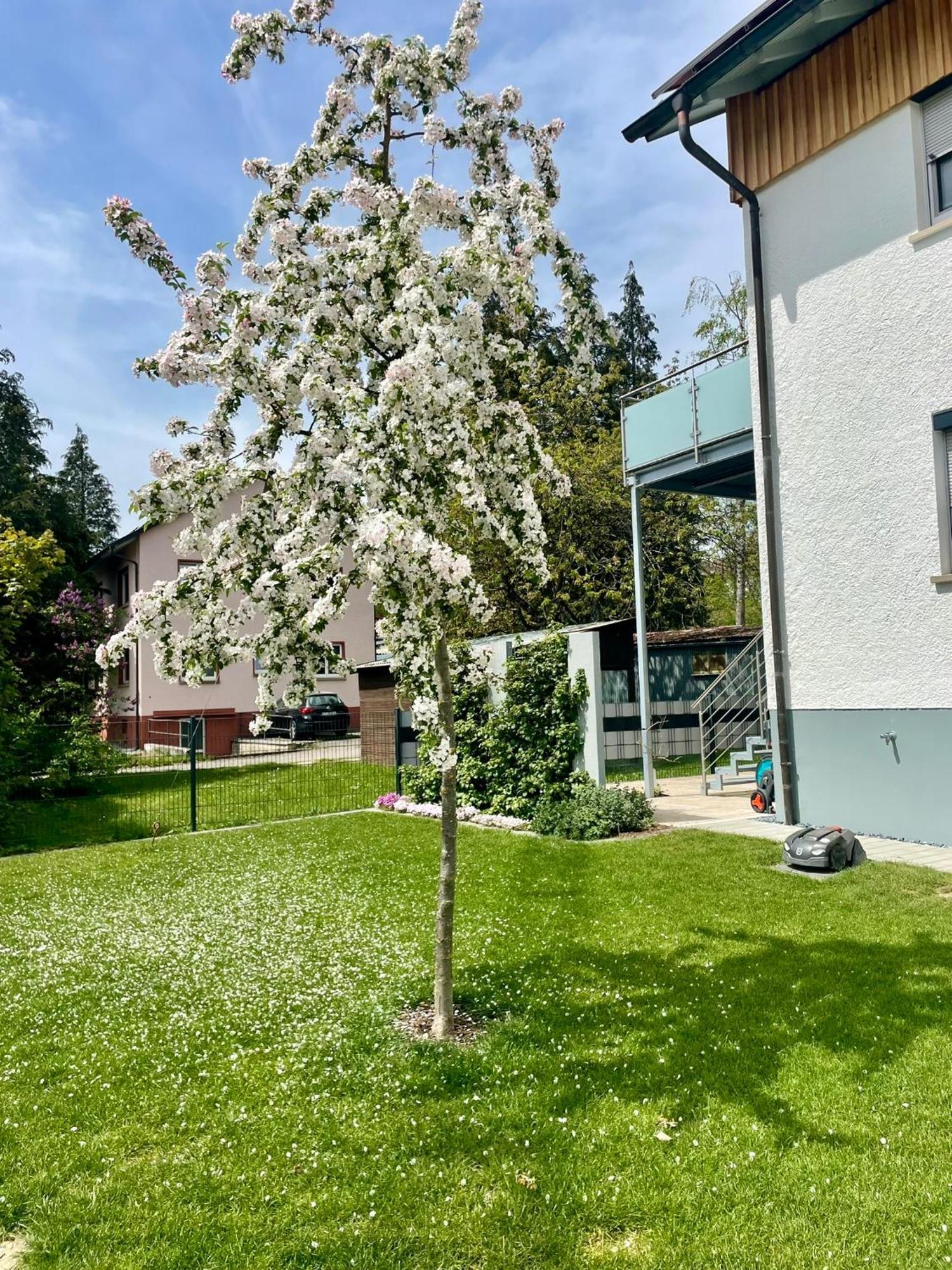Anitas Ferienwohnung Messkirch Exterior photo